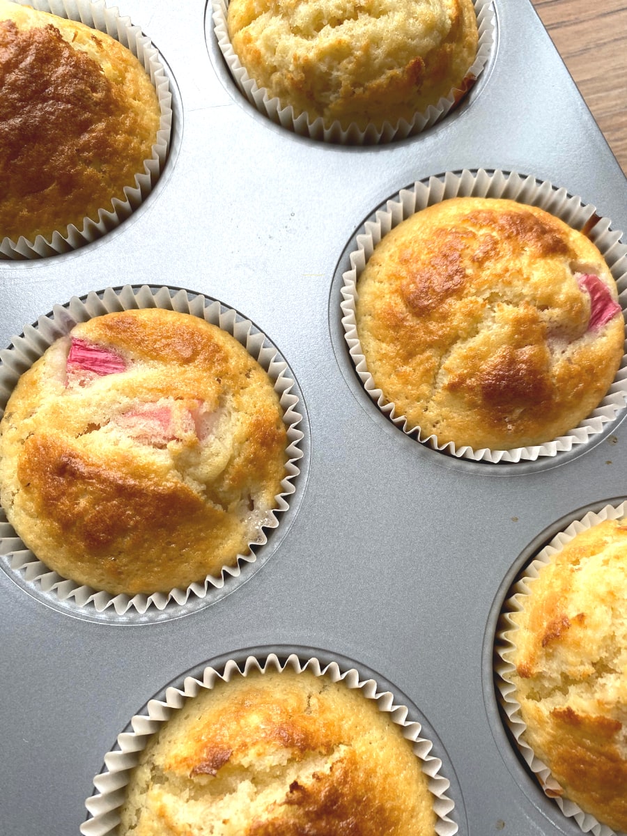 Baked rhubarb muffins