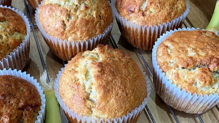 Banana Oatmeal Muffins. These muffins are moist, fruity, and extremely delicious. They are the perfect treat for breakfast, brunch, or afternoon tea. Packed with banana and drizzled with honey, a perfect snack