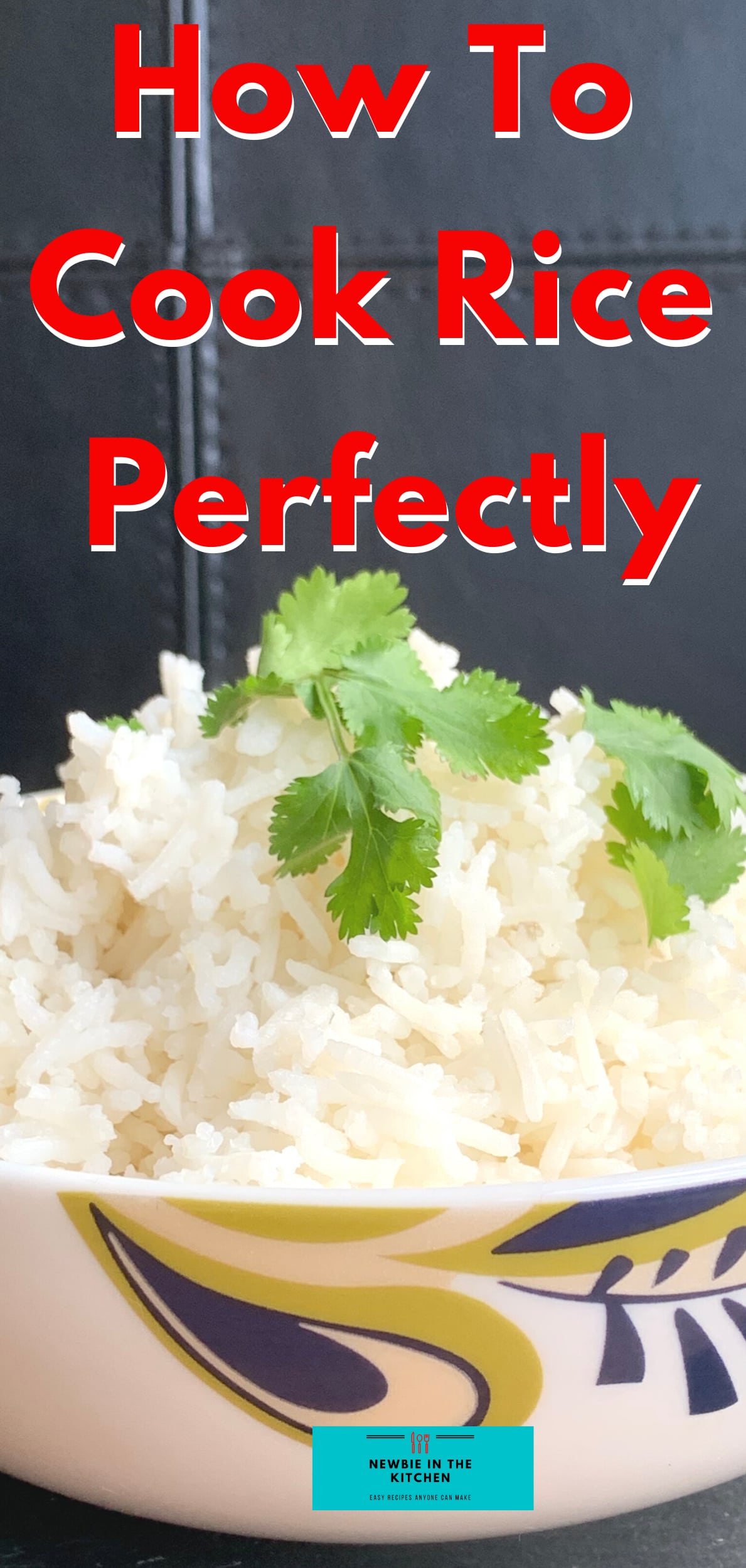 The Easy Way To Cook Rice Newbie In The Kitchen