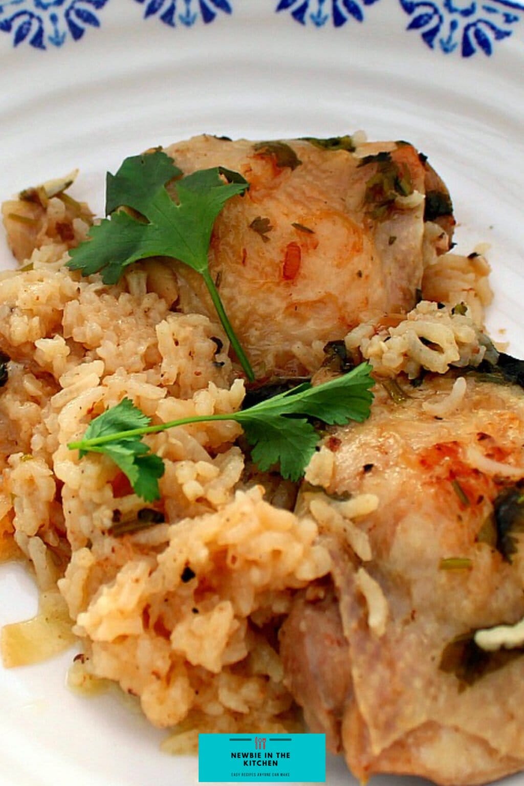 One Pan Garlic Chicken and Rice Newbie In The Kitchen