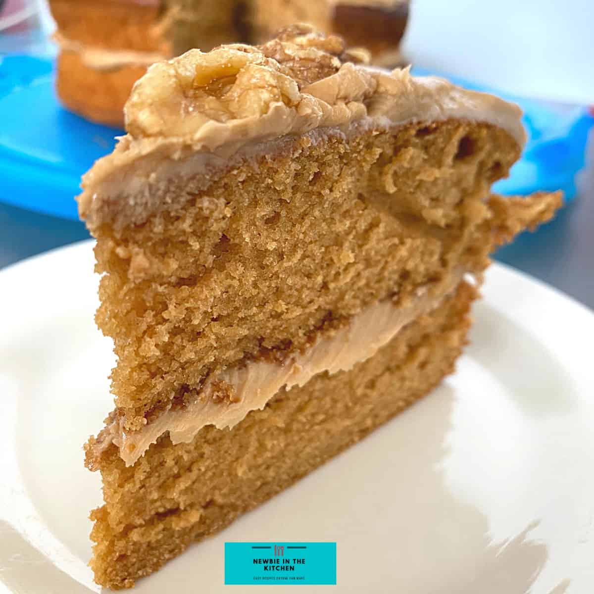 Coffee Walnut Cake is a deliciously easy soft and fluffy cake recipe. Recipe also for a lovely vanilla coffee frosting. A nice cake for the holidays!