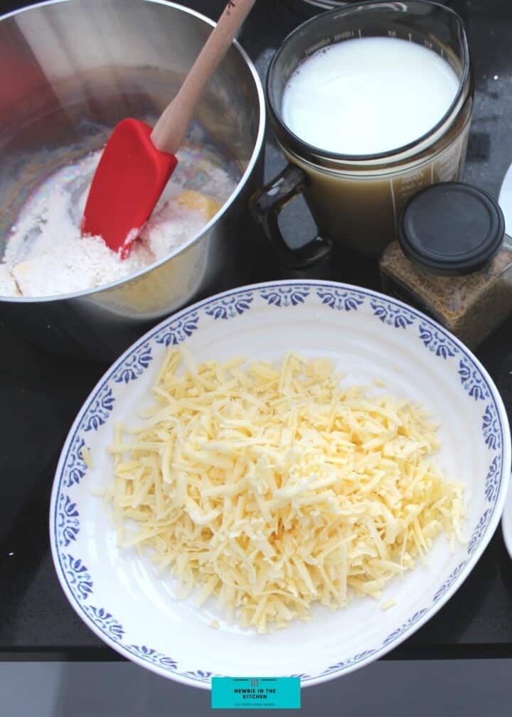 Mixed Vegetable Cheese Bake | Newbie In The Kitchen