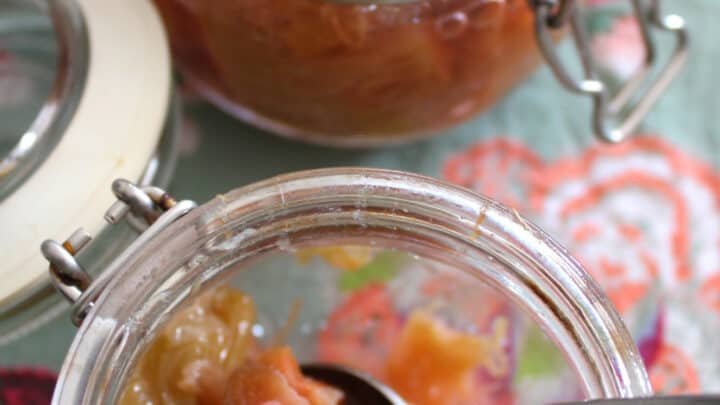 Easy Rhubarb CompoteH 1 scaled